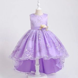 Luxury Flower Lace Princess Birthday Wedding Dress 5045